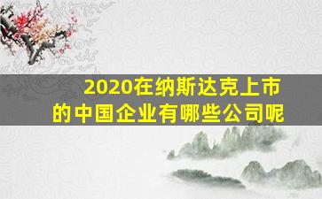 2020在纳斯达克上市的中国企业有哪些公司呢