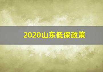 2020山东低保政策