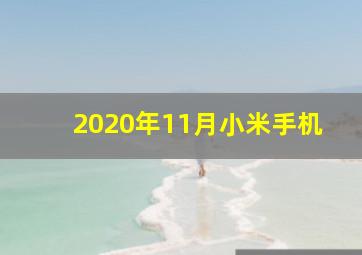 2020年11月小米手机