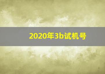 2020年3b试机号