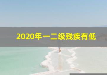 2020年一二级残疾有低