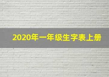 2020年一年级生字表上册