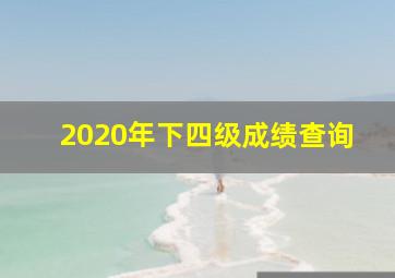 2020年下四级成绩查询