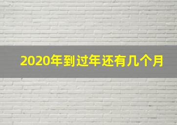 2020年到过年还有几个月