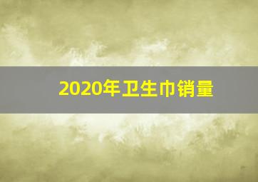 2020年卫生巾销量