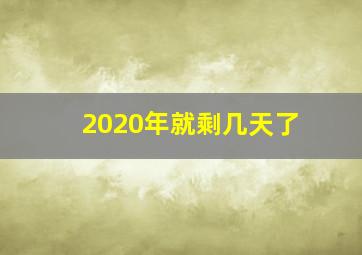 2020年就剩几天了