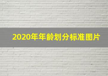 2020年年龄划分标准图片