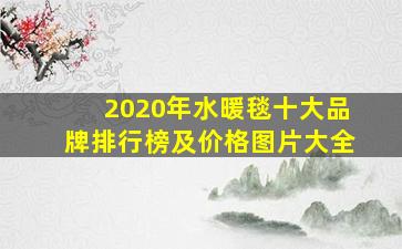 2020年水暖毯十大品牌排行榜及价格图片大全