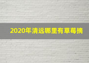 2020年清远哪里有草莓摘