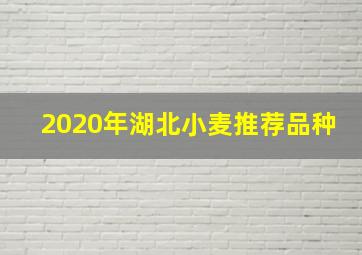 2020年湖北小麦推荐品种