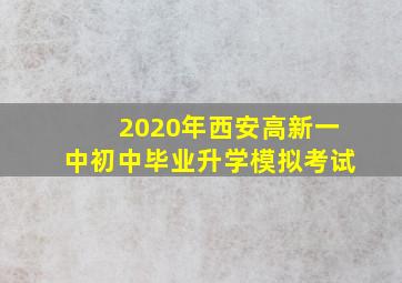 2020年西安高新一中初中毕业升学模拟考试