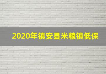 2020年镇安县米粮镇低保