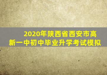 2020年陕西省西安市高新一中初中毕业升学考试模拟