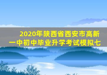 2020年陕西省西安市高新一中初中毕业升学考试模拟七