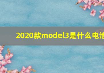 2020款model3是什么电池