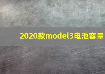 2020款model3电池容量