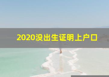 2020没出生证明上户口