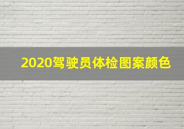 2020驾驶员体检图案颜色