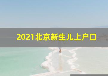 2021北京新生儿上户口