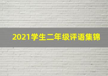 2021学生二年级评语集锦