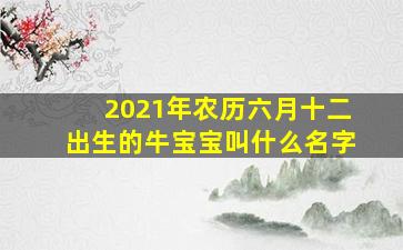 2021年农历六月十二出生的牛宝宝叫什么名字