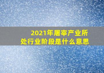 2021年屠宰产业所处行业阶段是什么意思