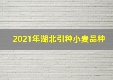 2021年湖北引种小麦品种