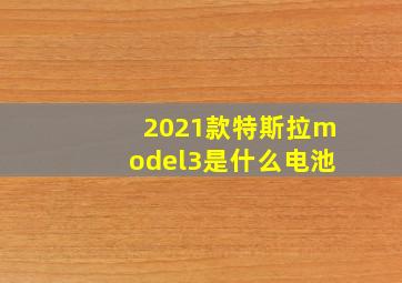 2021款特斯拉model3是什么电池