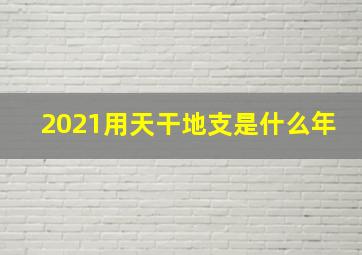 2021用天干地支是什么年