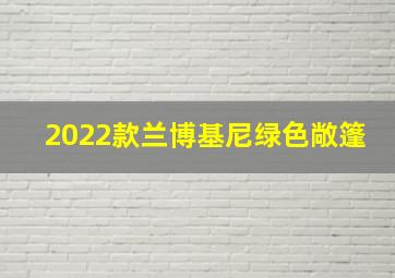 2022款兰博基尼绿色敞篷