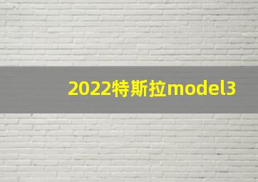 2022特斯拉model3