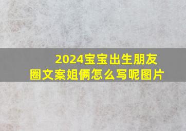 2024宝宝出生朋友圈文案姐俩怎么写呢图片