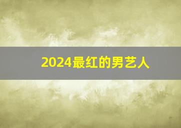 2024最红的男艺人