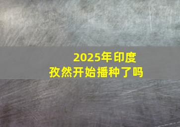 2025年印度孜然开始播种了吗