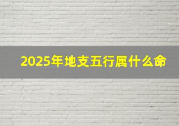 2025年地支五行属什么命