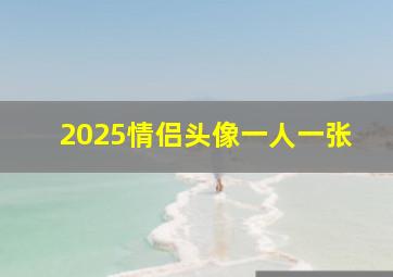 2025情侣头像一人一张