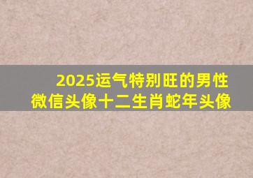 2025运气特别旺的男性微信头像十二生肖蛇年头像