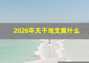 2026年天干地支属什么