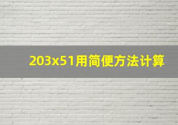 203x51用简便方法计算