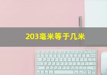 203毫米等于几米