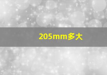 205mm多大