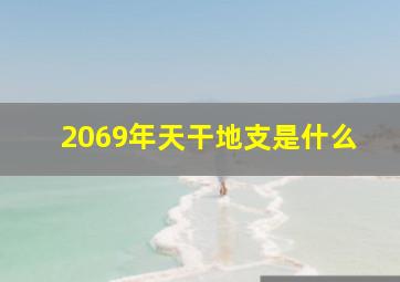 2069年天干地支是什么