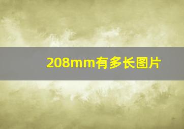 208mm有多长图片