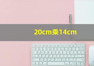 20cm乘14cm