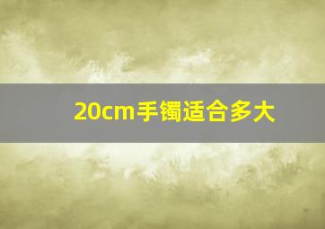 20cm手镯适合多大