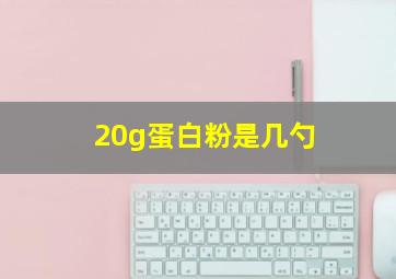 20g蛋白粉是几勺