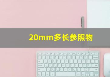 20mm多长参照物