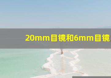 20mm目镜和6mm目镜