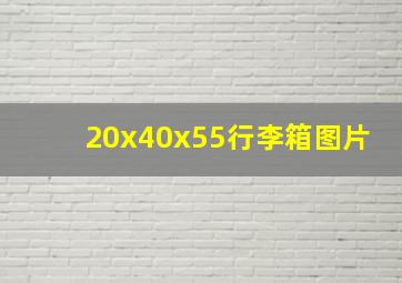 20x40x55行李箱图片