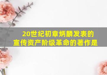 20世纪初章炳麟发表的宣传资产阶级革命的著作是